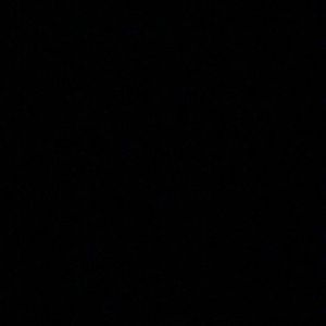 Meet your Posher, Sienna